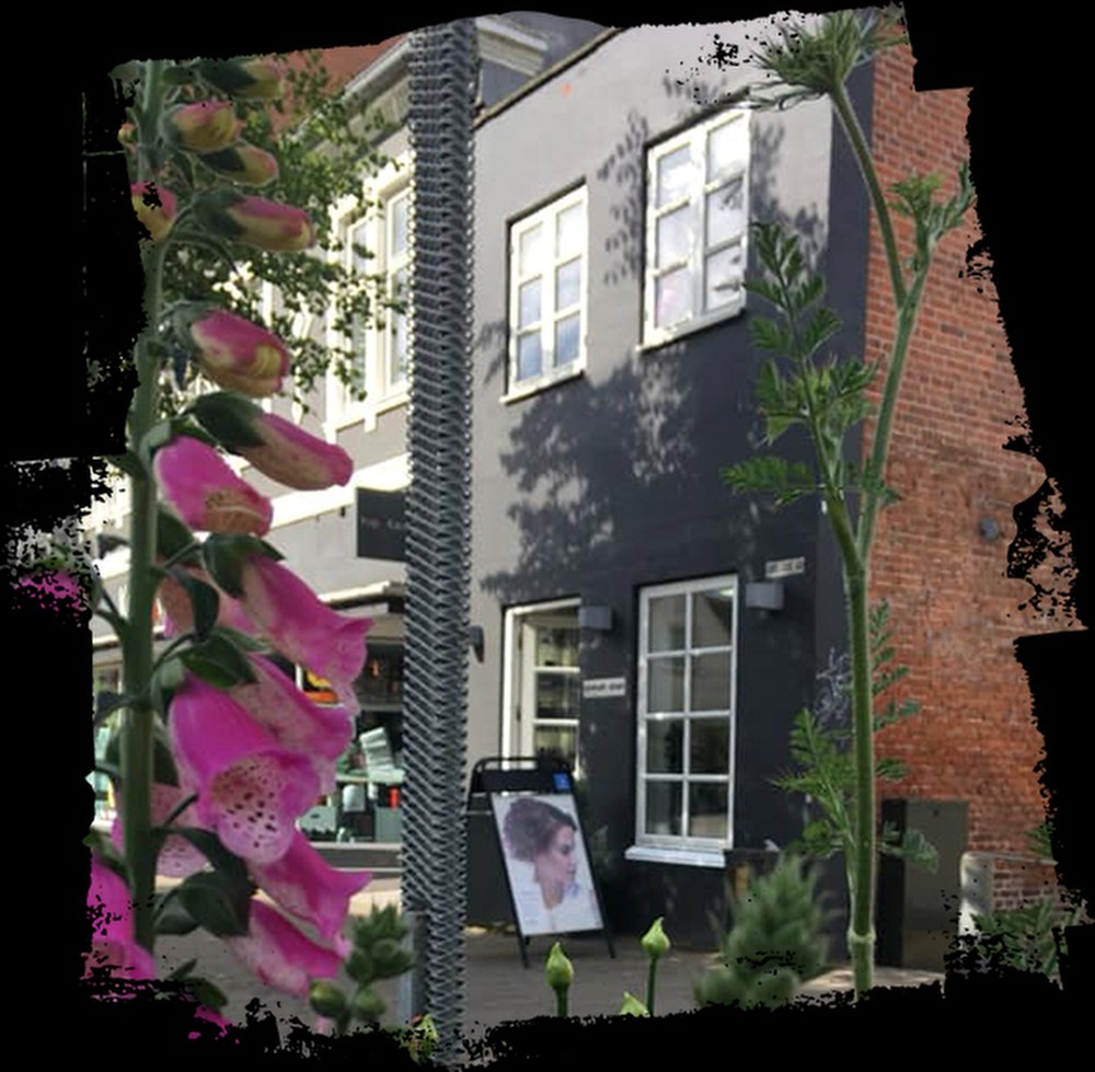 Forside Huset 1000X979